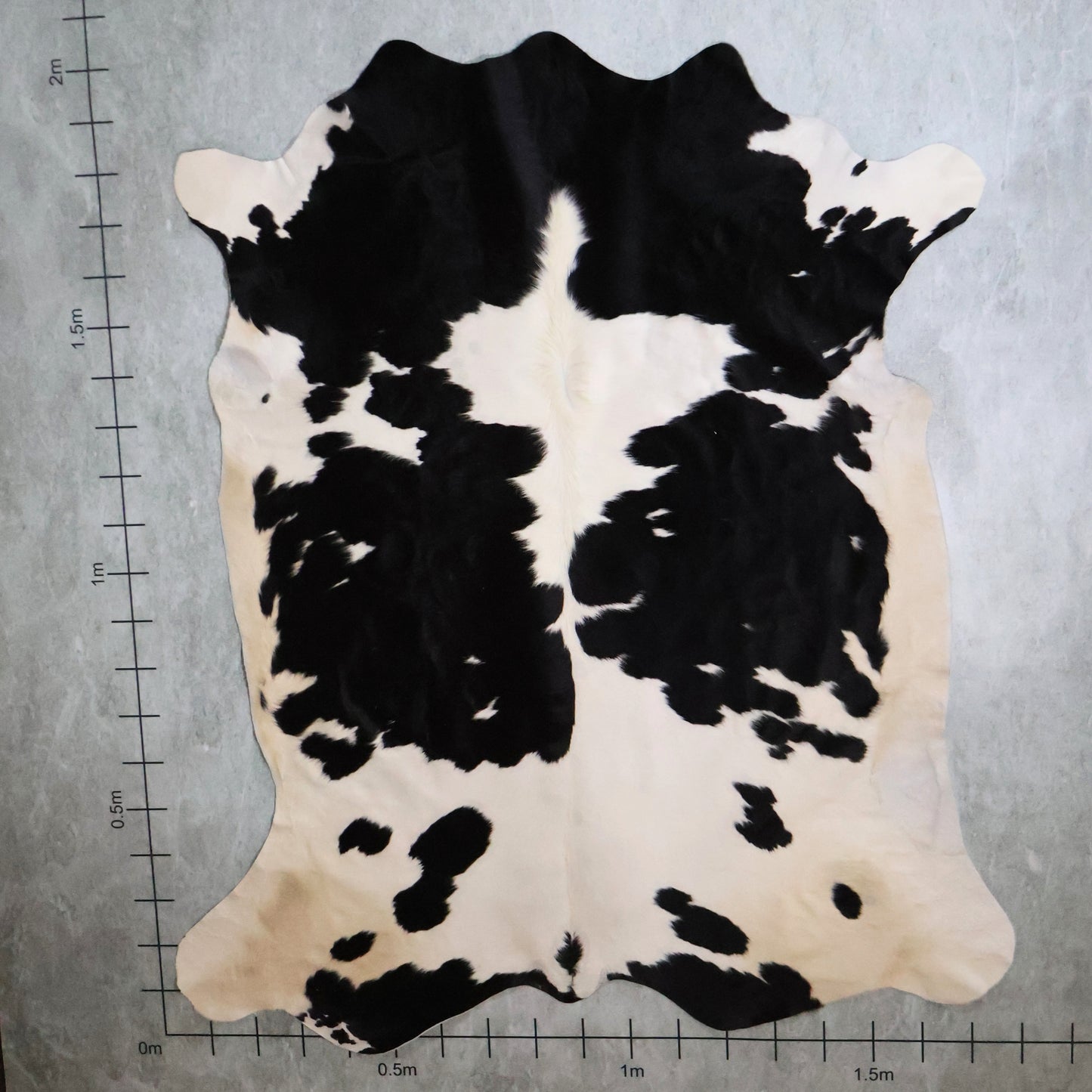 Standard Nguni Hide #BGD4846 (1.8m X 2.0m)