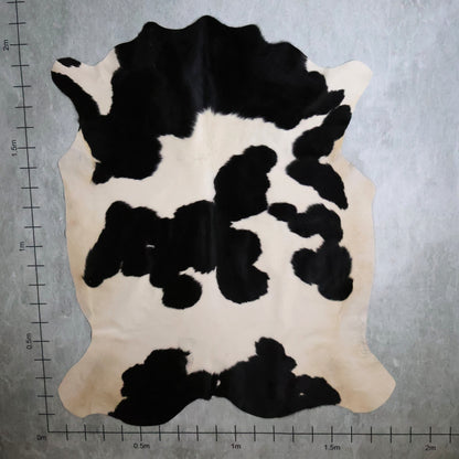 Standard Nguni Hide #BGD4847 (1.8m X 2.1m)