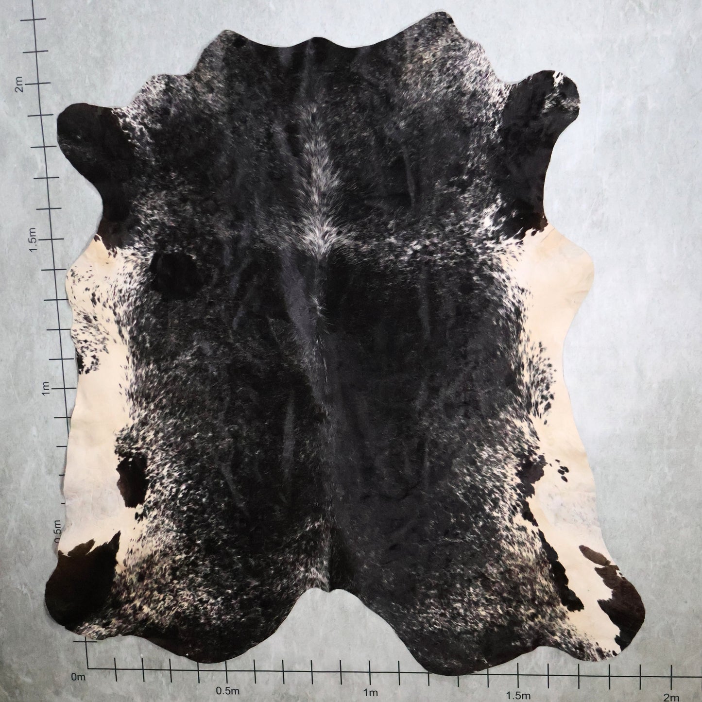 Standard Nguni Hide #BGD4849 (1.9m X 2.1m)