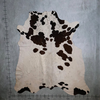 Standard Nguni Hide - Dark Brown & White | BGD4850 | 2.0m x 2.1m