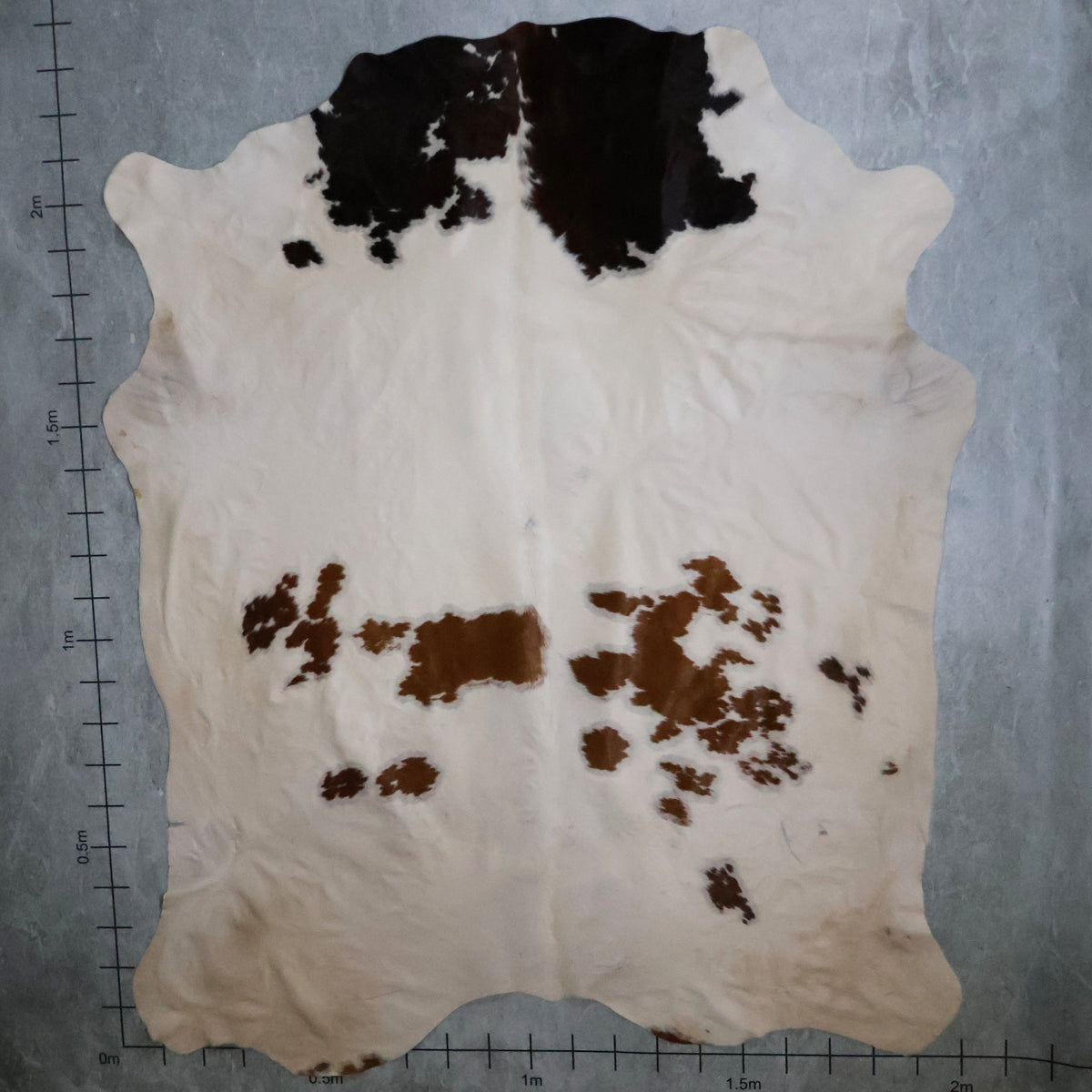 Standard Nguni Hide - Dark Brown, Tan Brown & White | BGD4853 | 2.0m x 2.3m