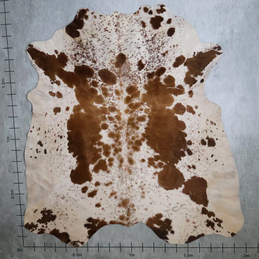 Standard Nguni Hide - Caramel Brown & White | BGD4854 | 2.0m x 2.1m