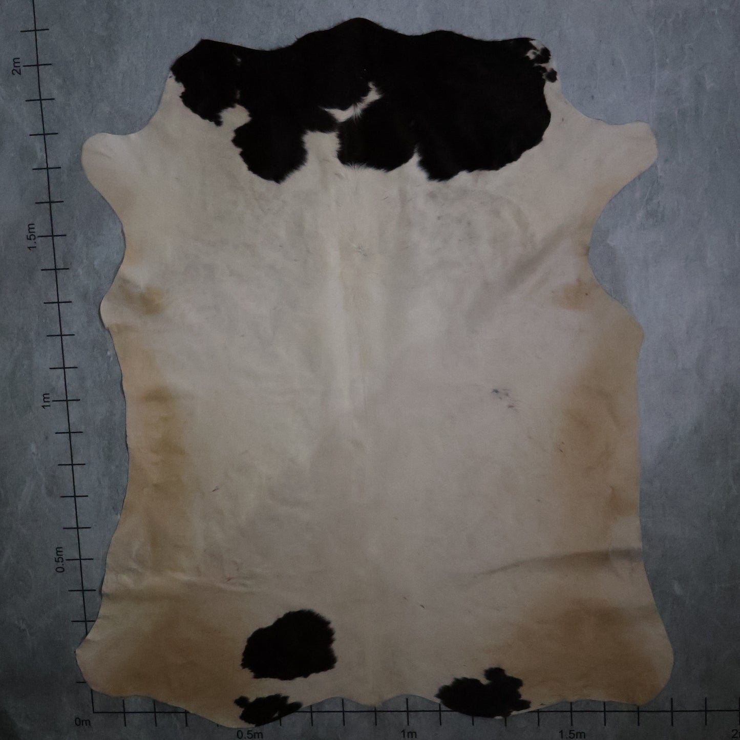 Standard Nguni Hide - Black & Cream | BGD4858 | 1.8m x 2.0m