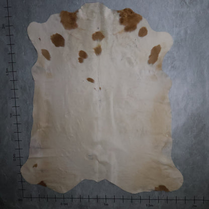 Standard Nguni Hide - Tan & Cream | BGD4859 | 1.9m x 2.2m