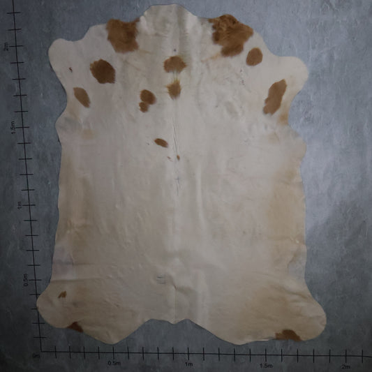 Standard Nguni Hide - Tan & Cream | BGD4859 | 1.9m x 2.2m