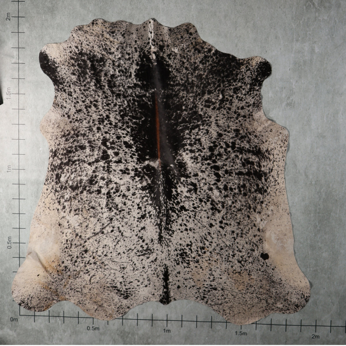 Standard Nguni Hide - Tri Colour Black & White Speckled | BGD4902 | 1.9m x 2.0m