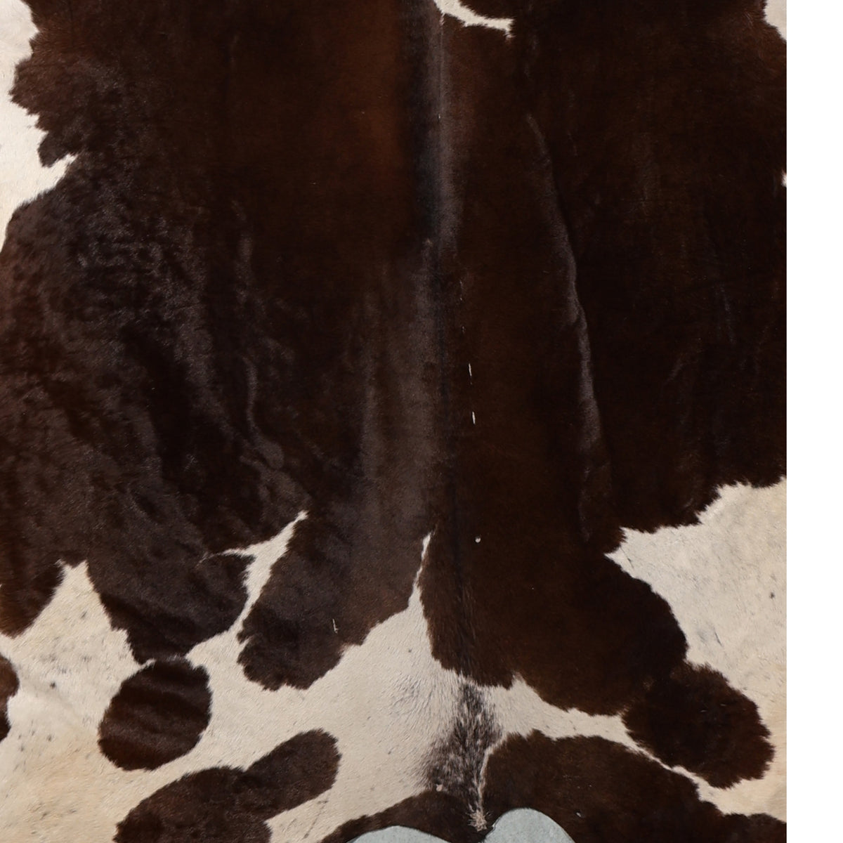 Standard Nguni Hide - Dark Brown & White | BGD4922 | 1.9m x 2.3m