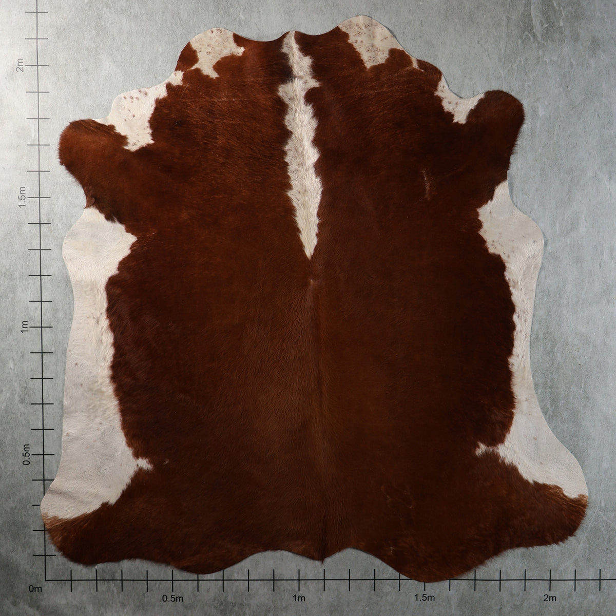 Genuine South African chestnut-brown and white Nguni cowhide with a rich brown centre, creamy-white side markings and distinctive white central streak – BGD4954.