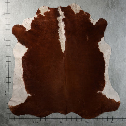 Genuine South African chestnut-brown and white Nguni cowhide with a rich brown centre, creamy-white side markings and distinctive white central streak – BGD4954.