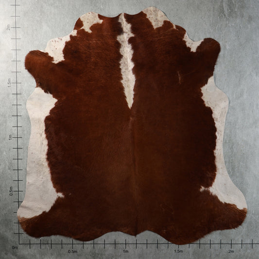 Genuine South African chestnut-brown and white Nguni cowhide with a rich brown centre, creamy-white side markings and distinctive white central streak – BGD4954.