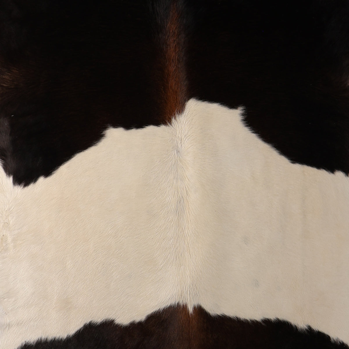 Standard Nguni Cowhide - Black, White & Dark Brown | BGD4957 | 1.9m x 2.1m