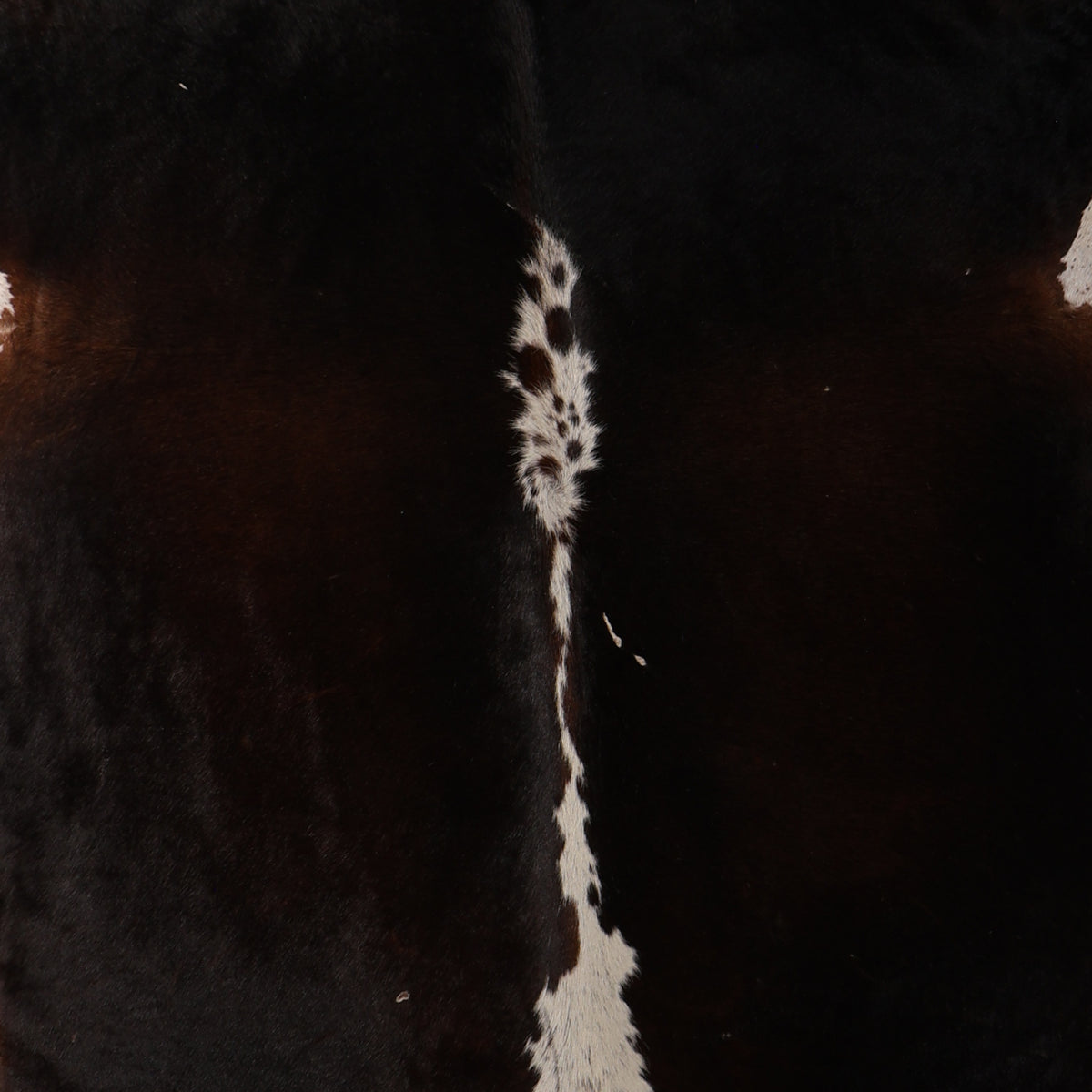 Standard Nguni Cowhide - Dark Brown & Cream | BGD4958 | 1.8m x 2.3m