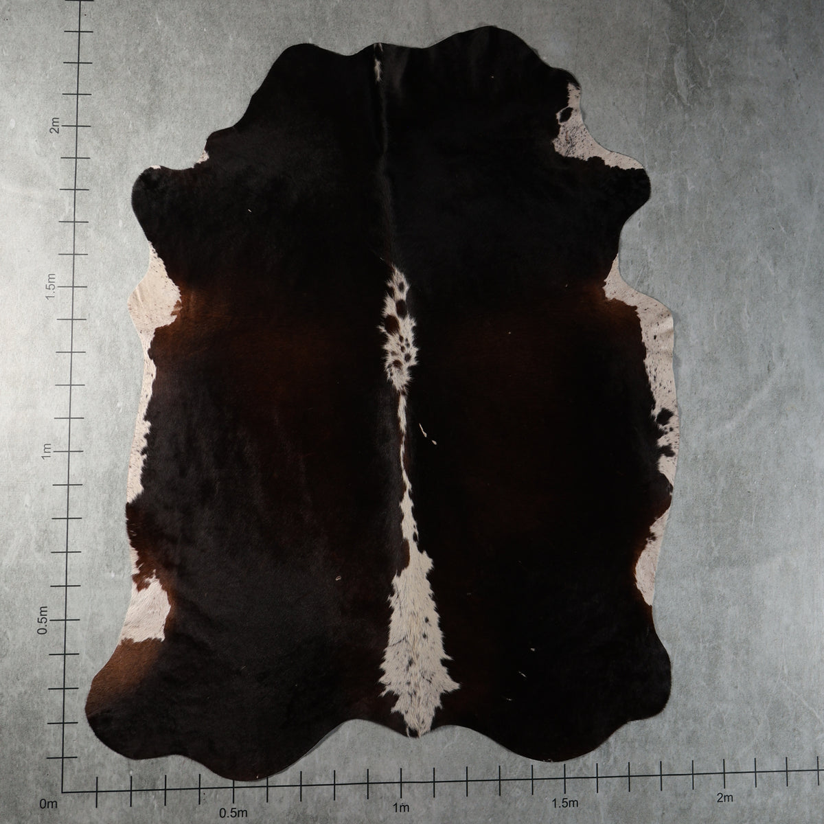 Standard Nguni Cowhide - Dark Brown & Cream | BGD4958 | 1.8m x 2.3m