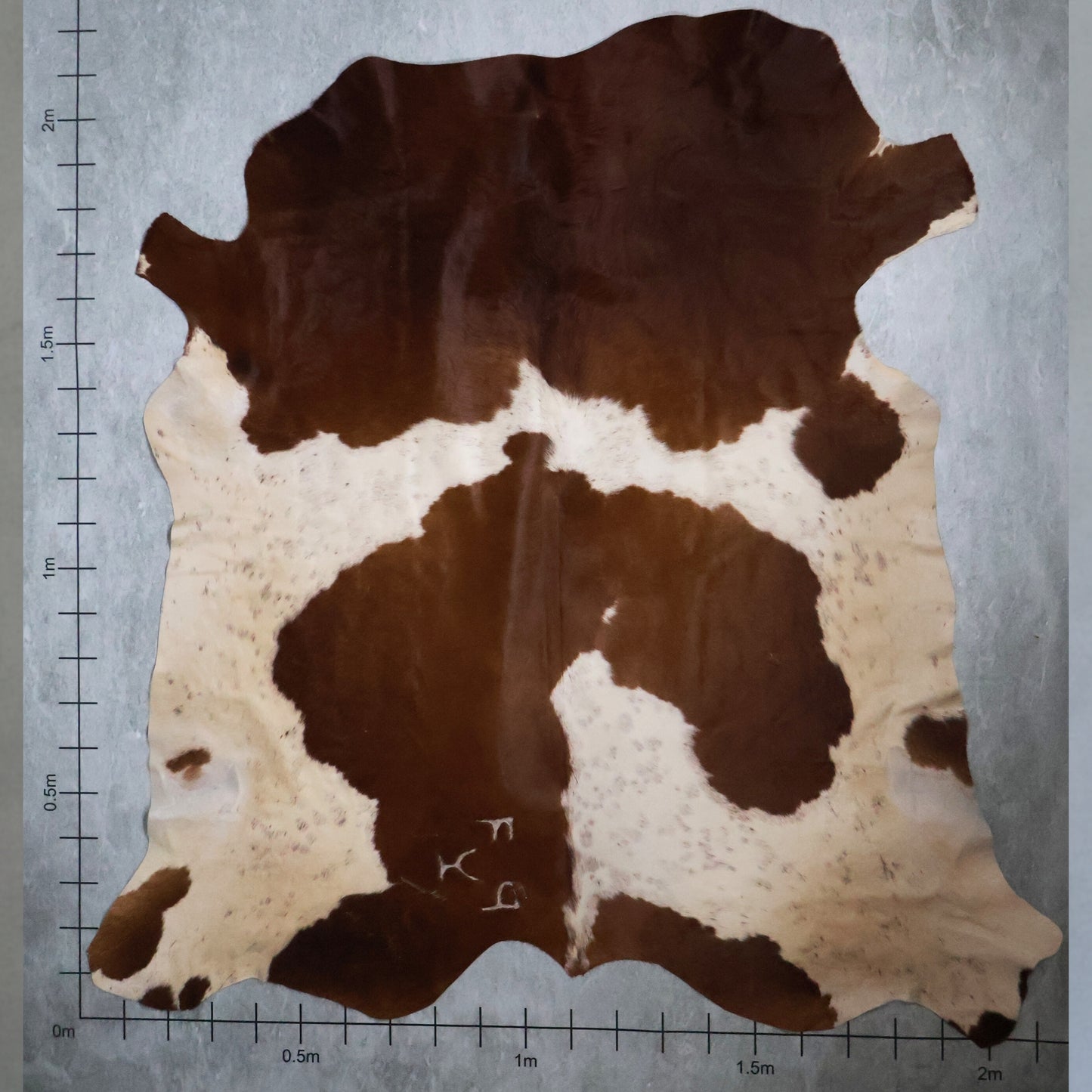 Standard Nguni Hide #BGS2473