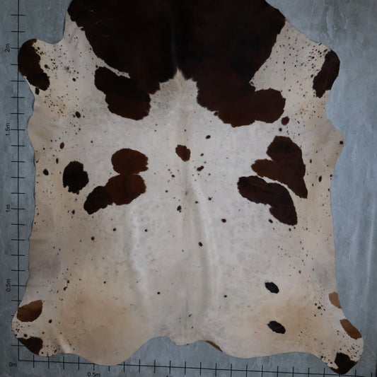 Standard Nguni Hide #BGS2483
