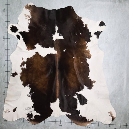 Standard Nguni Hide #BGS2490