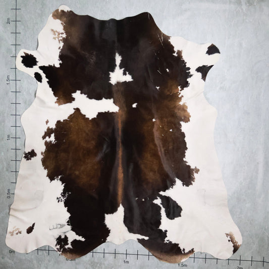 Standard Nguni Hide #BGS2490