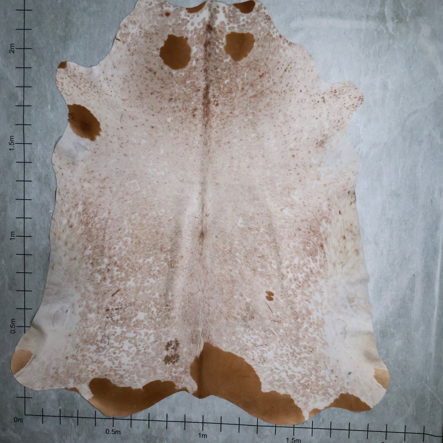 Standard Nguni Hide #BGS2492