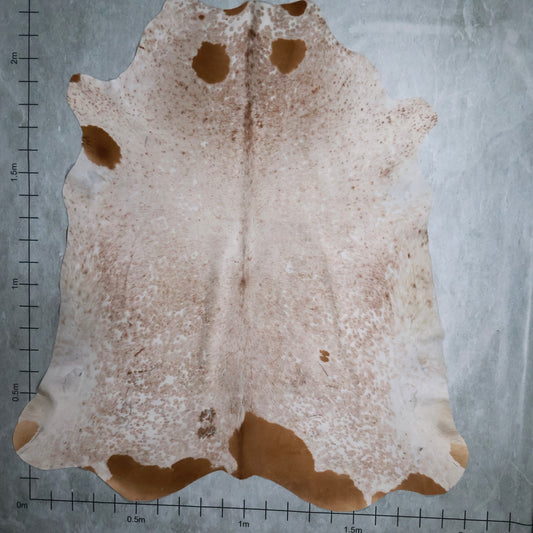 Standard Nguni Hide #BGS2492