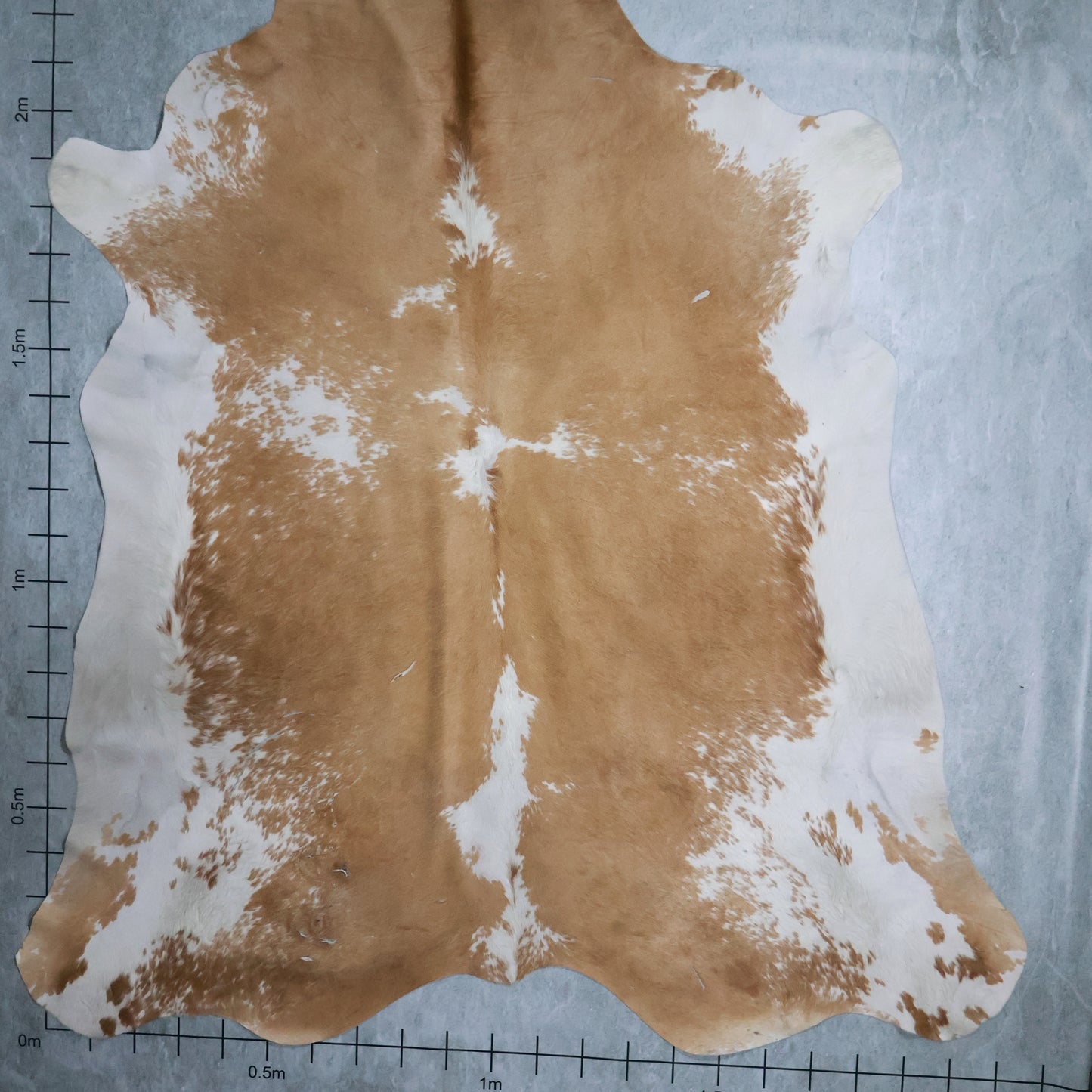 Standard Nguni Hide #BGS2493