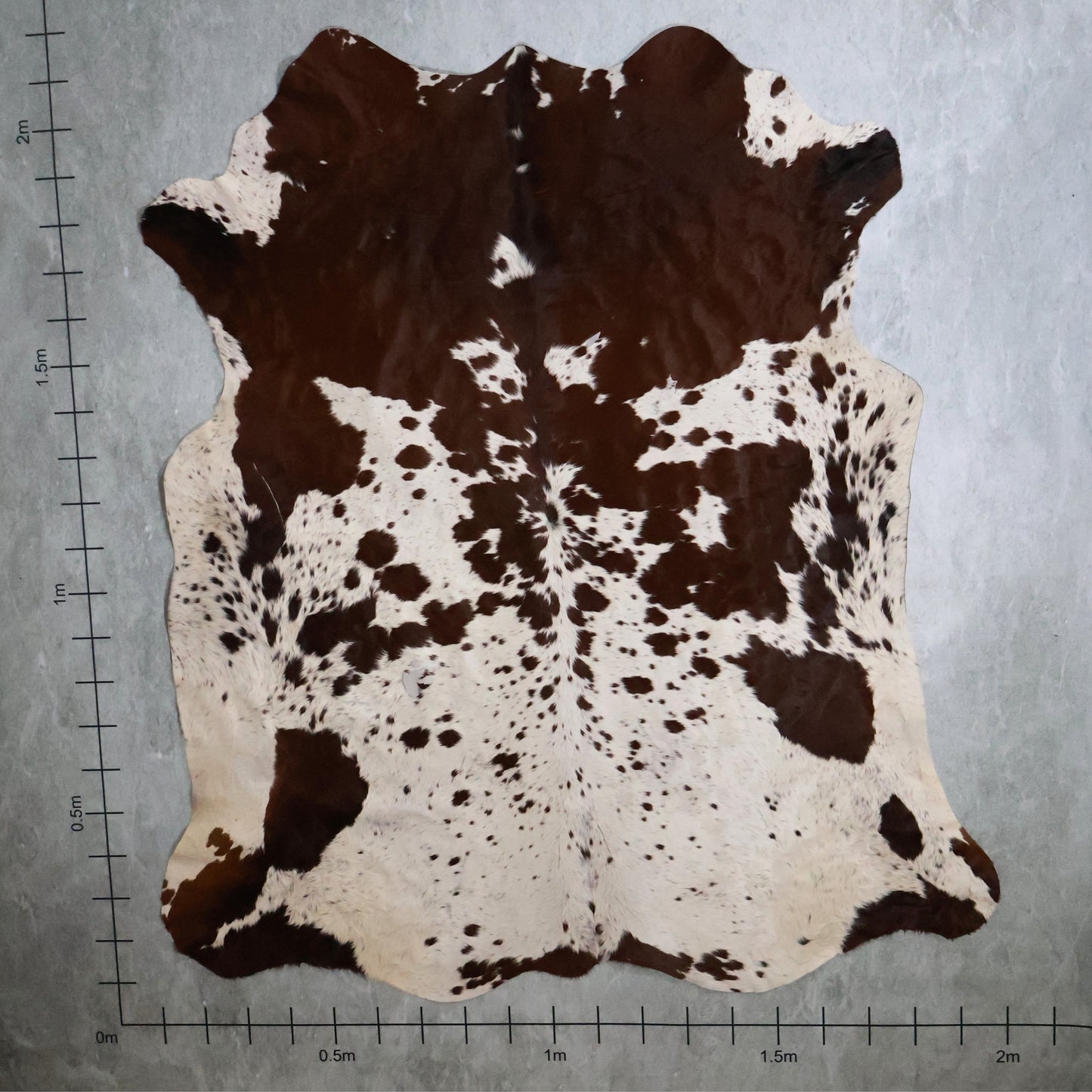 Standard Nguni Hide #BGS2625 (2.0m X 2.1m)