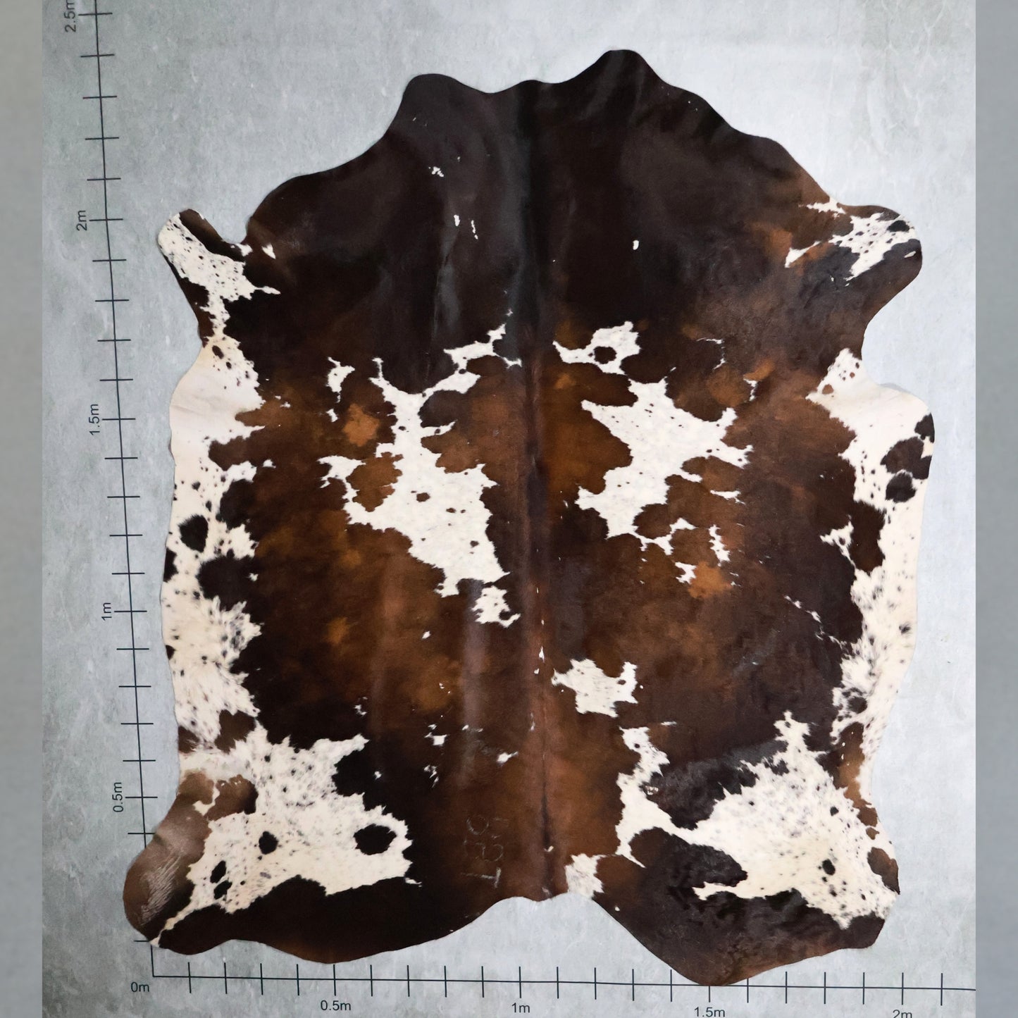Standard Nguni Hide Tri-Colour #BGS2552