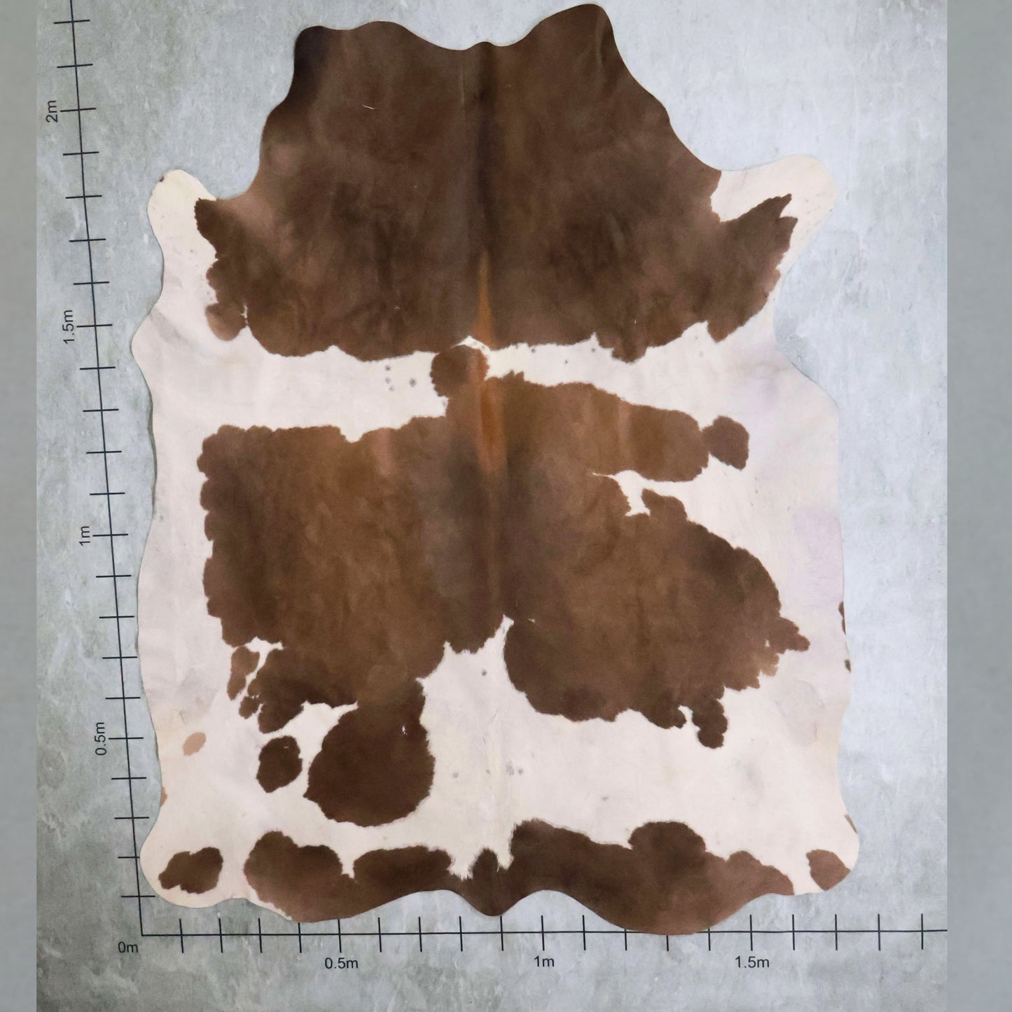 Standard Nguni Hide #BGS2586