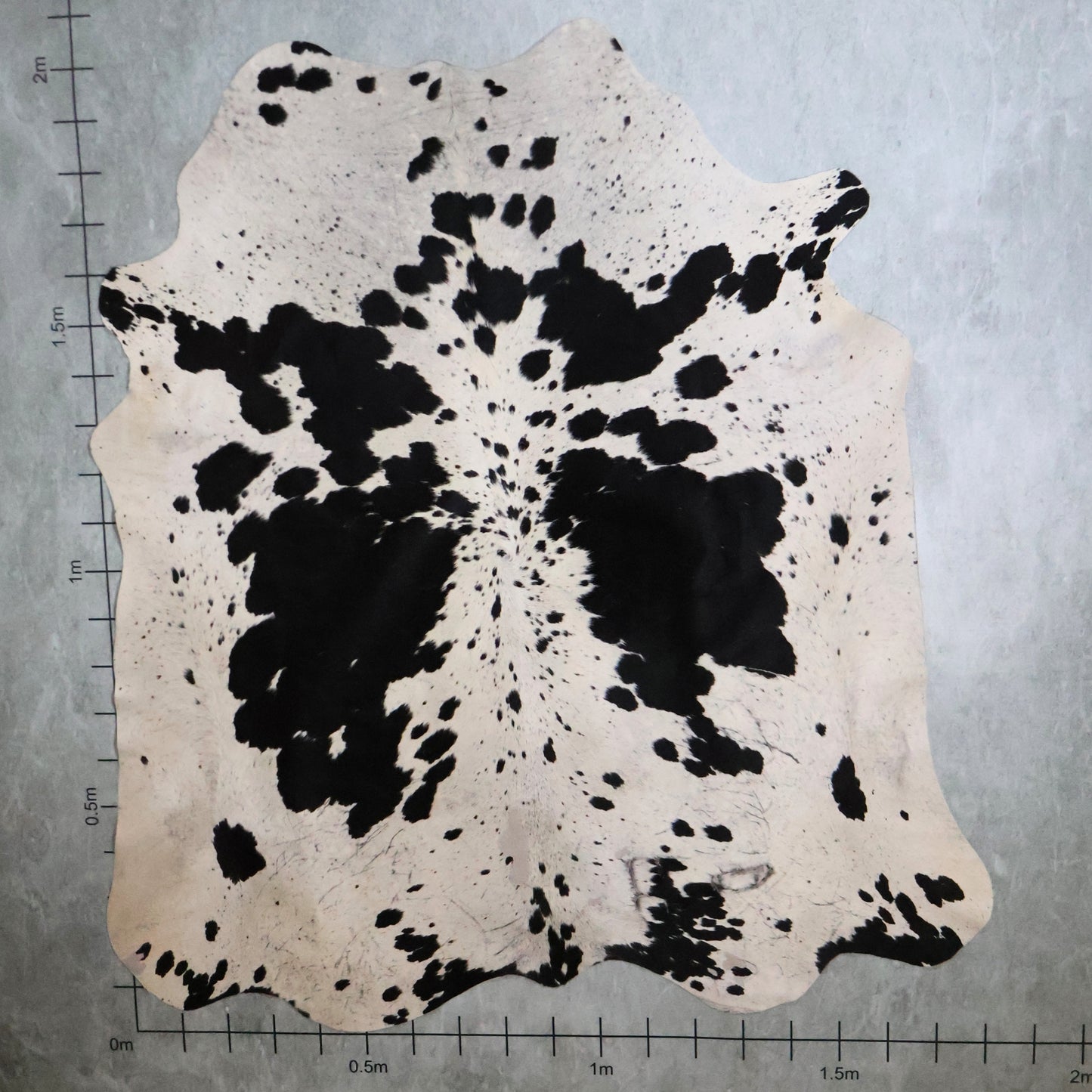 Standard Nguni Hide #BGS2655 (1.8m X 2.0m)