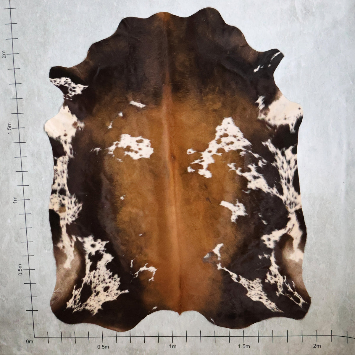 Standard Nguni Hide - Dark Brown, Caramel & White | BGS2658 | 2.0m X 2.2m