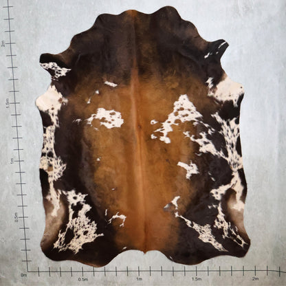 Standard Nguni Hide - Dark Brown, Caramel & White | BGS2658 | 2.0m X 2.2m