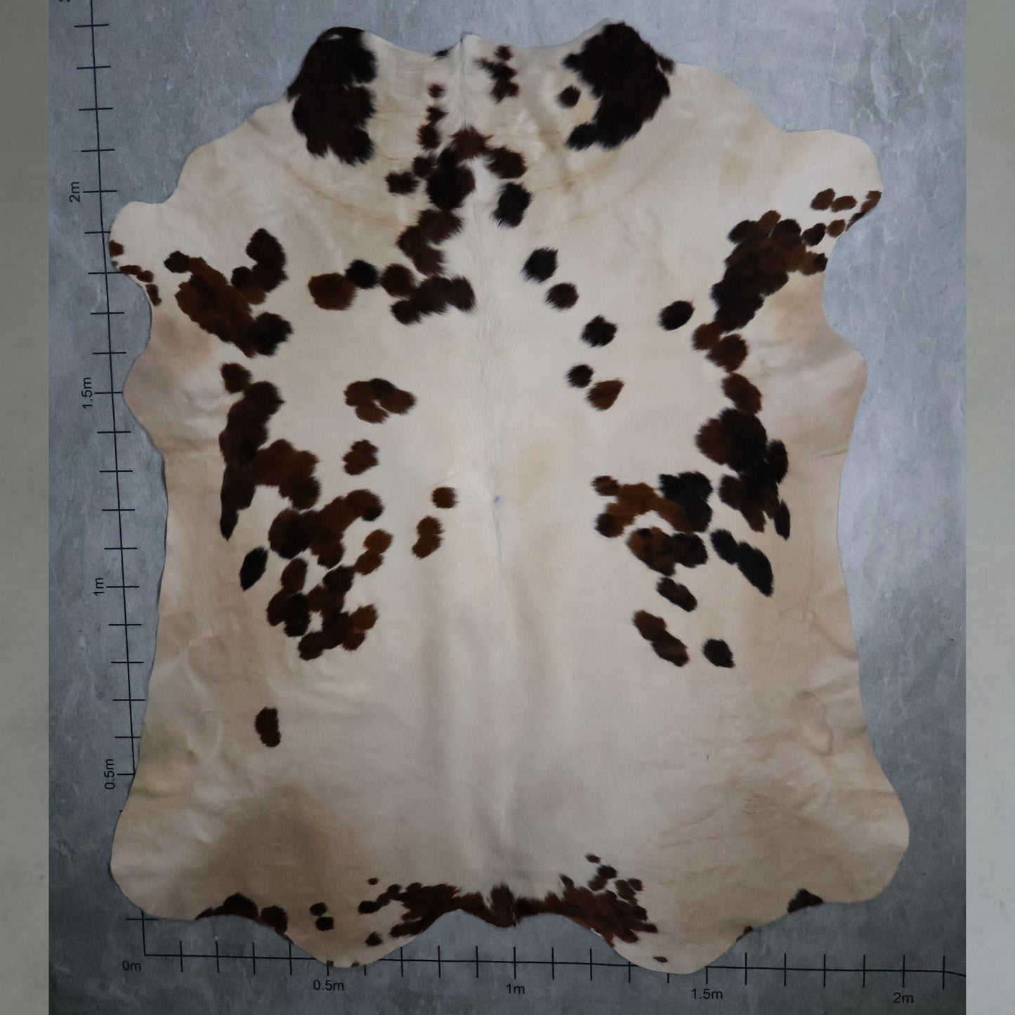 Standard Nguni Hide - Tri Colour Caramel Brown, Black & White | BGS2660 | 2.0m x 2.3m