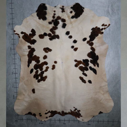 Standard Nguni Hide - Tri Colour Caramel Brown, Black & White | BGS2660 | 2.0m x 2.3m