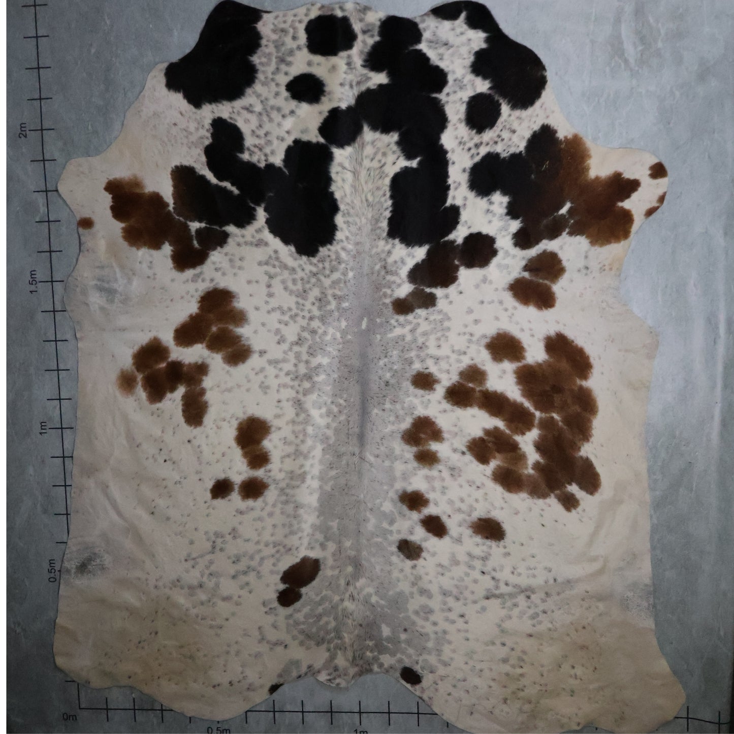 Standard Nguni Hide - Tri Colour Brown, Black & White | BGS2662 | 2.2m x 2.4m