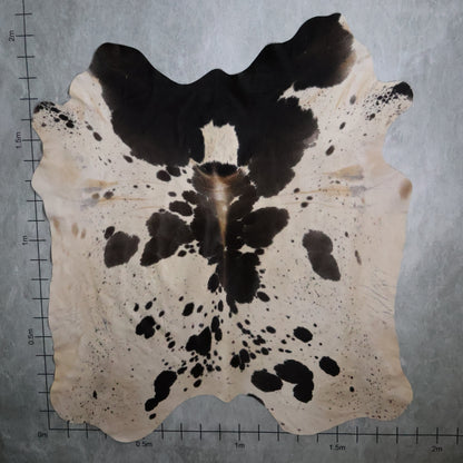 Standard Nguni Hide - Grey, Black & White | BGS2680 | 1.8m X 2.0m