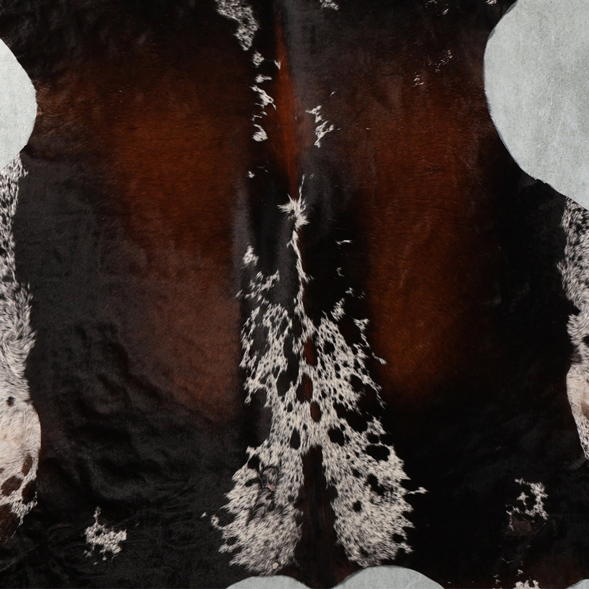 Standard Nguni Hide - Dark Brown, Chestnut & White | BGS2727 | 1.8m X 2.0m