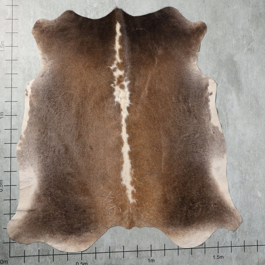 Standard Nguni Hide - (Small) Taupe Brown | BGS2728 | 1.7m X 1.7m