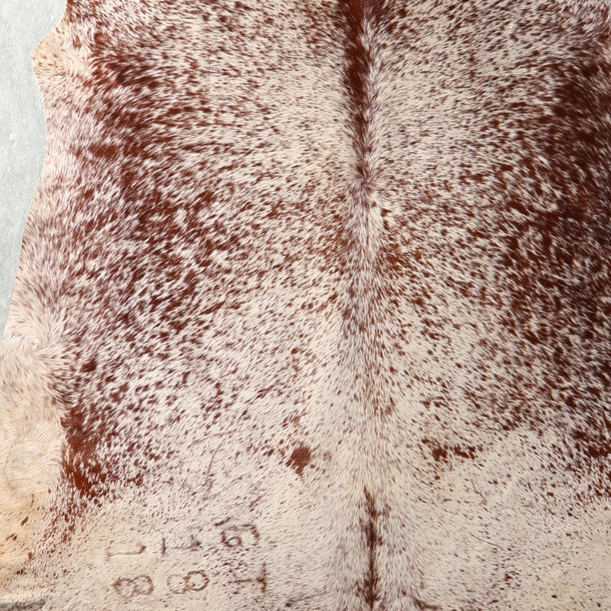 Standard Nguni Hide - Black & White | BGS2734 | 1.6m X 2.0m