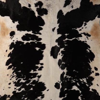 Standard Nguni Cowhide - Black & Cream Spotted | BGS2757 | 2.3m X 2.4m