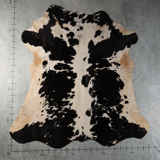 Standard Nguni Cowhide - Black & Cream Spotted | BGS2757 | 2.3m X 2.4m