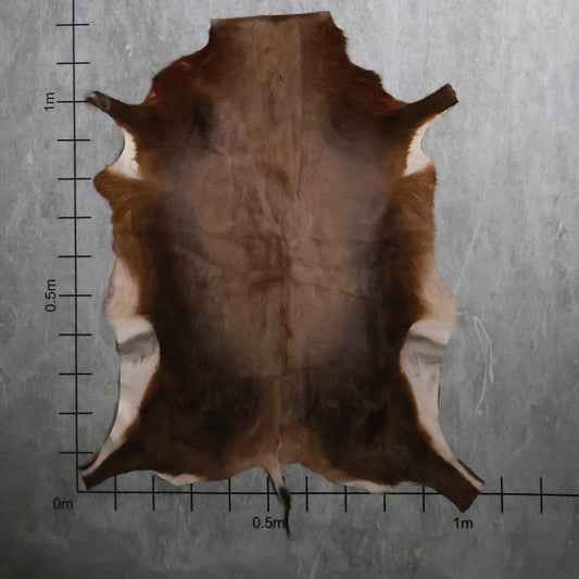 Blesbok Hide