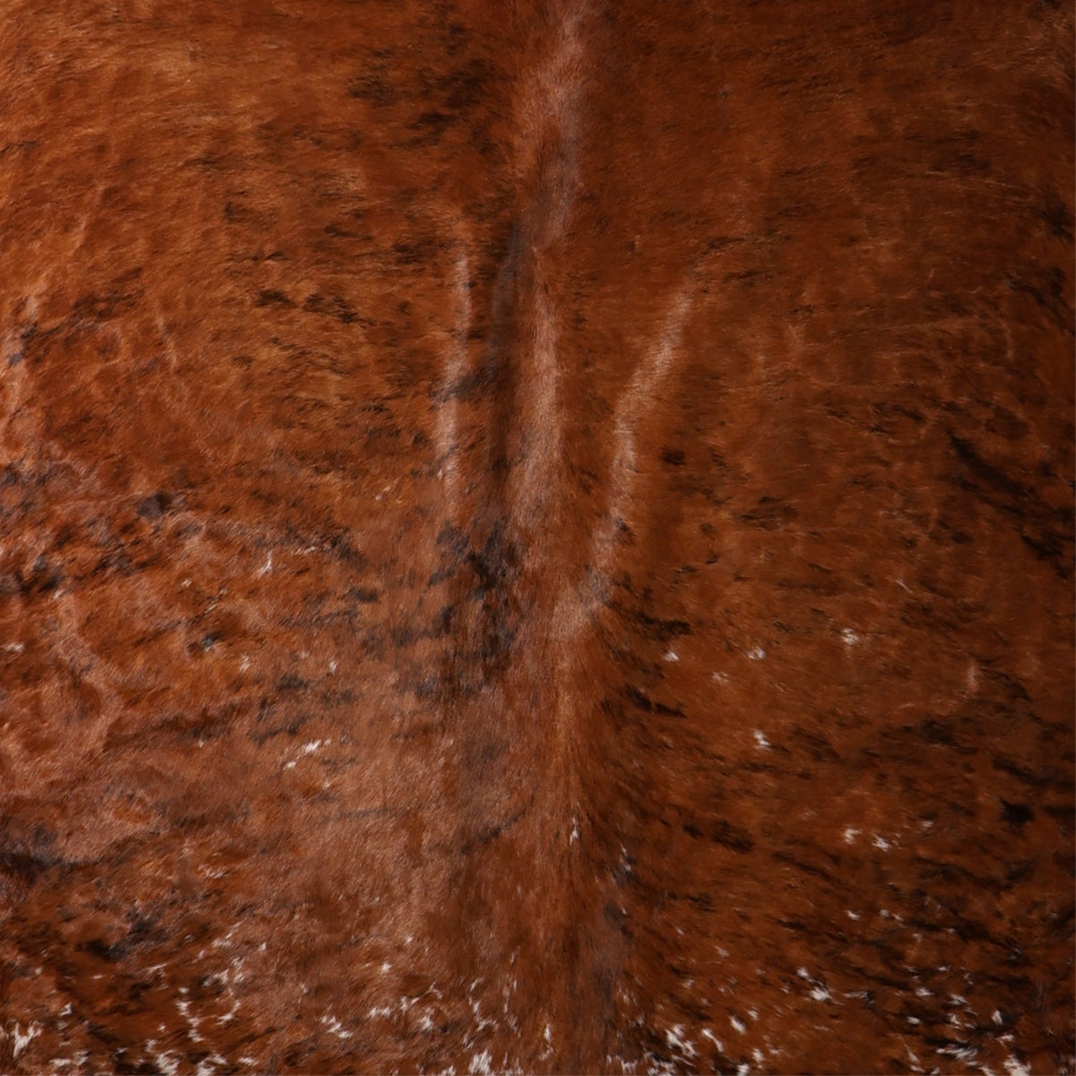 Premium Nguni Hide - Brindle Chestnut Brown Speckled | AAG5381 | 2.1m x 2.3m