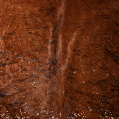 Premium Nguni Hide - Brindle Chestnut Brown Speckled | AAG5381 | 2.1m x 2.3m