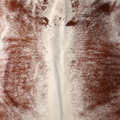 Premium Nguni Hide - Cream & Chestnut Speckled | AAS8313 | 2.0m x 2.2m