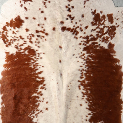 Premium Nguni Hide - Cream & Chestnut Spotted | AAS8315 | 1.9m x 2.2m