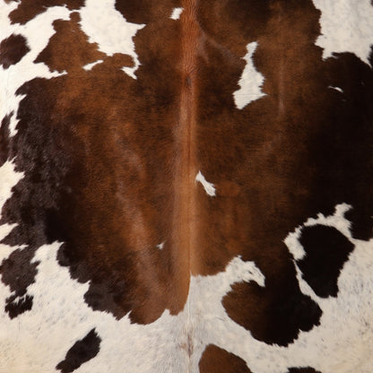 Premium Nguni Hide - Dark Brown, Chestnut & White | AAS8324 | 1.9m x 2.3m