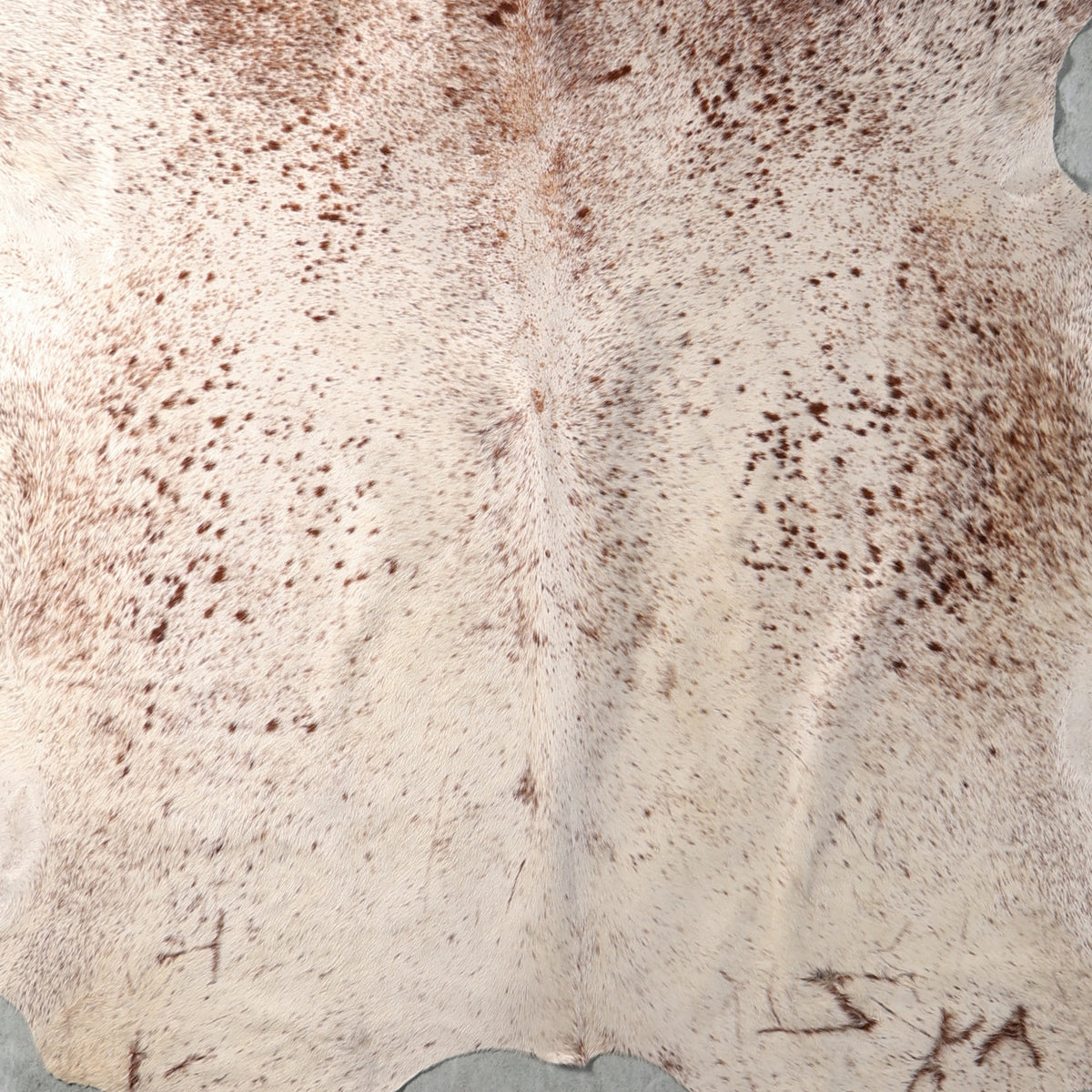 Premium Nguni Hide - Cream & Light Brown Speckled | AAS8325 | 2.0m x 2.2m