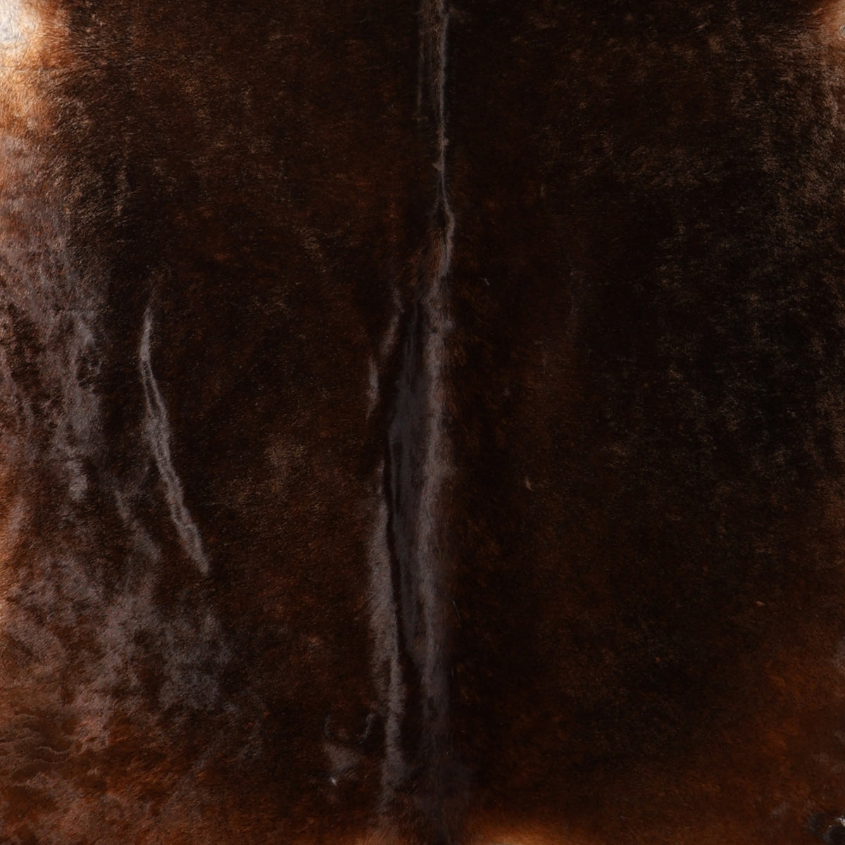 Select Nguni Hide - Dark Chocolate Brown | AGD7154 | 2.0m X 2.4m
