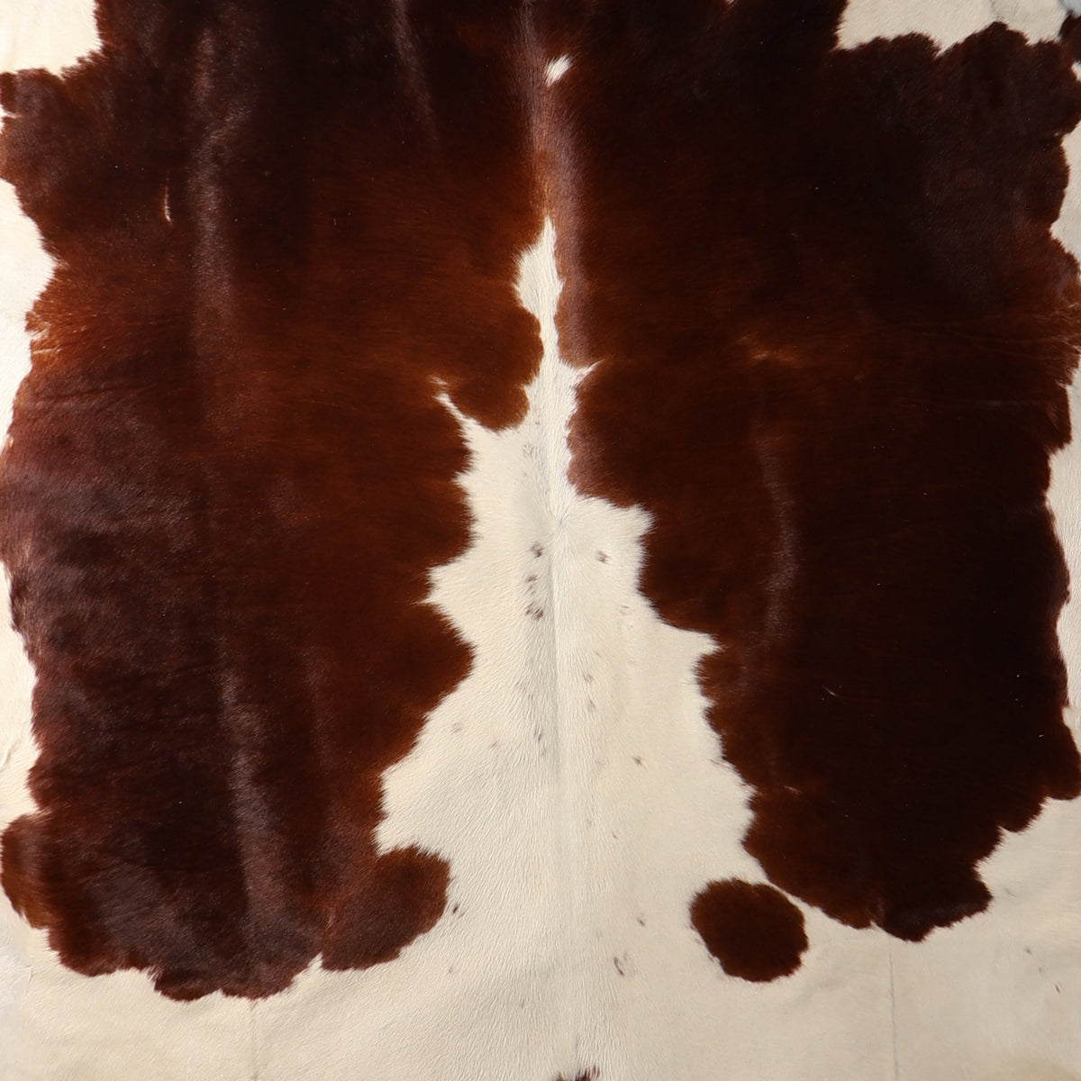 Select Nguni Hide - Dark Brown & Cream Patches | AGD7165 | 1.9m X 2.2m