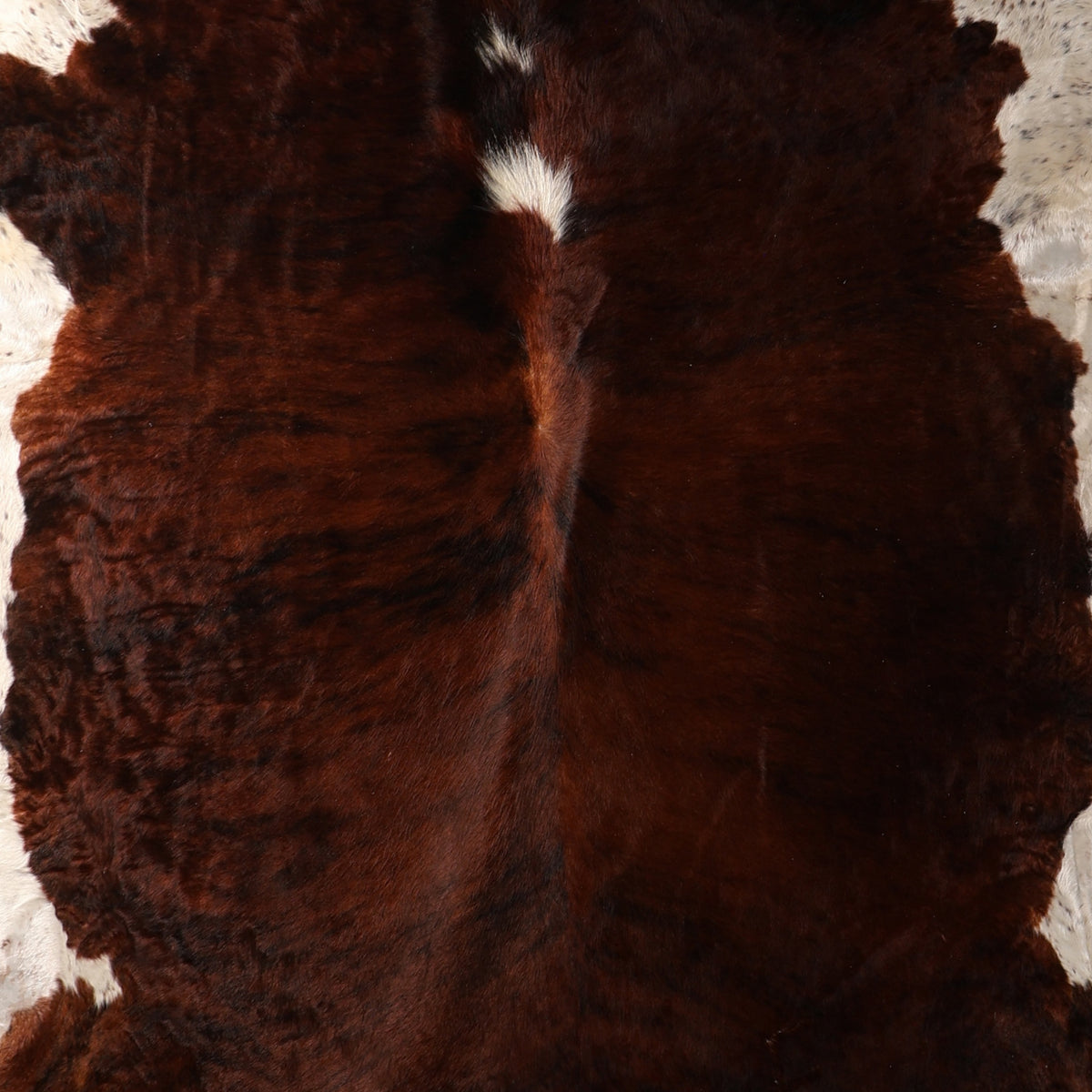Select Nguni Hide - Brindle Dark Chocolate & White | AGD7174 | 2.0m X 2.3m