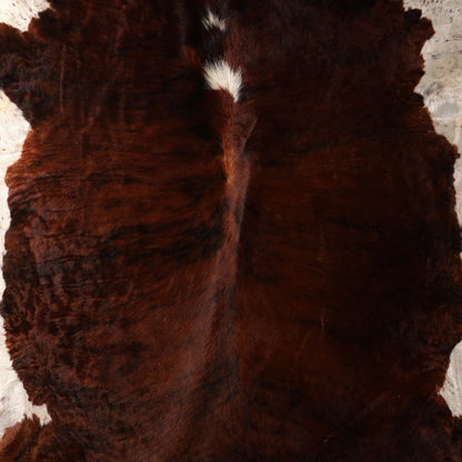 Select Nguni Hide - Brindle Dark Chocolate & White | AGD7174 | 2.0m X 2.3m
